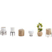 Kira Artificial Magnolia Tree Potted Plant 28