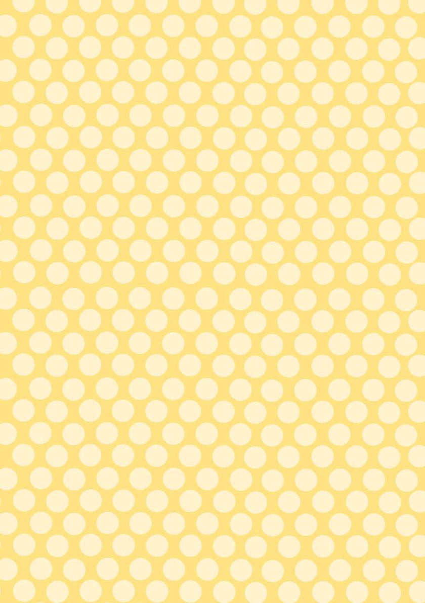 KJ Paper Pad Ice Cream Pop Basics By Karin Joan 148x210mm nr.08