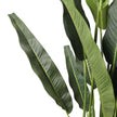 Kola Artificial Travellers Palm Tree Potted Plant (Multiple Sizes)