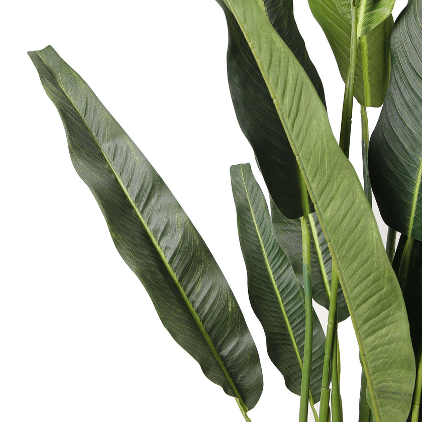 Kola Artificial Travellers Palm Tree Potted Plant (Multiple Sizes)