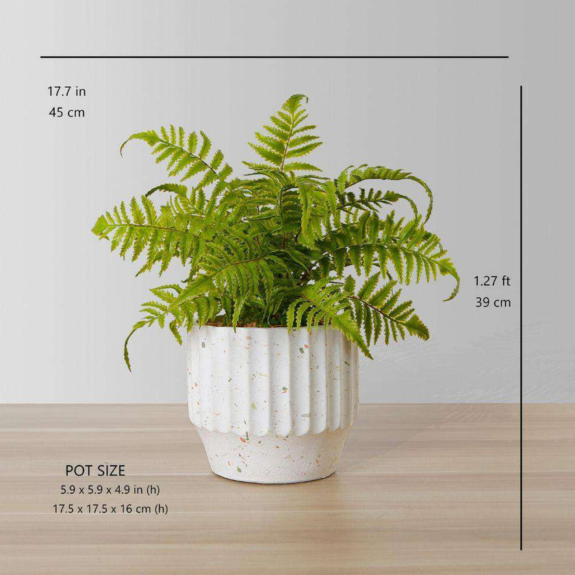 Kuwu Potted Faux Fern