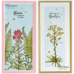 Marianne Design Clear Stamp - Tiny's Borders - Euphorbia