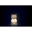 Kaloo - Soft Led Nightlight - Raccoon