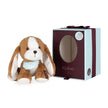 Kaloo - Tiramisu Dog - Small