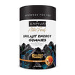 Gommes Kapiva Himalayan Shilajit | 225mg de Shilajit/gomme | Saveur gingembre et miel | Gomme certifiée NABL | Augmente les niveaux d'énergie, l'endurance et la résistance | Sans sucre ajouté | Sans gélatine