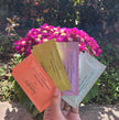 Kasara Atelier Refreshing Fragrance Wet Wipes – 60 Sachets
