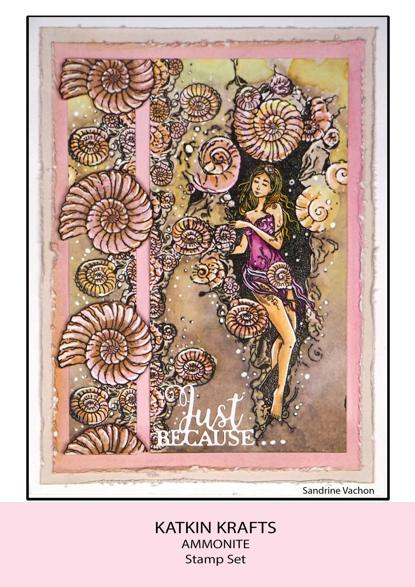 Katkin Krafts Ammonite 6 in x 8 in Clear Stamp Set