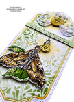 Katkin Krafts Sphinx 6 in x 8 in Clear Stamp Set