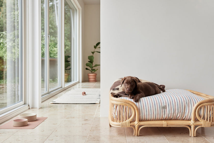 Kaya Dog Blanket - Large