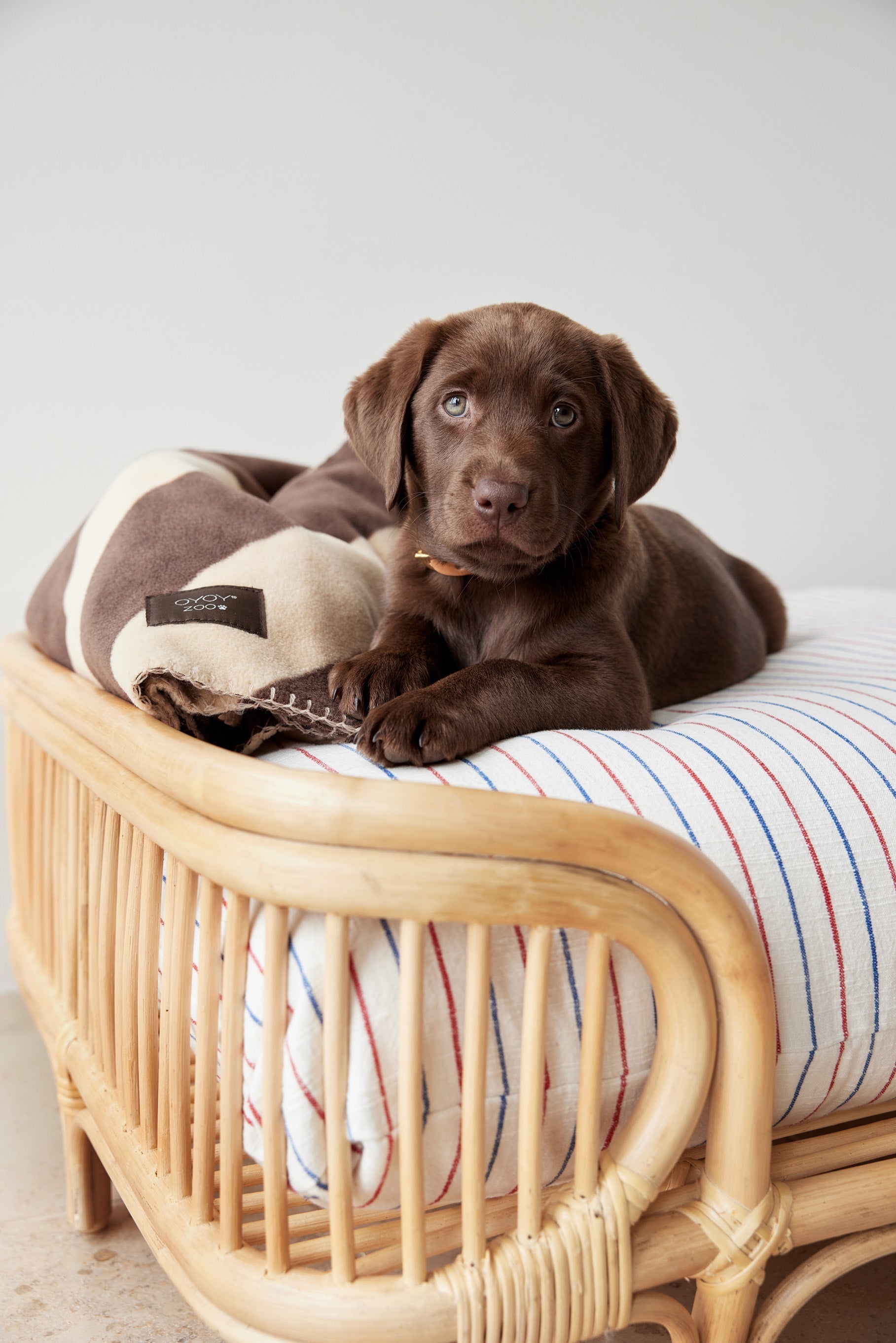 Kaya Dog Blanket - Medium