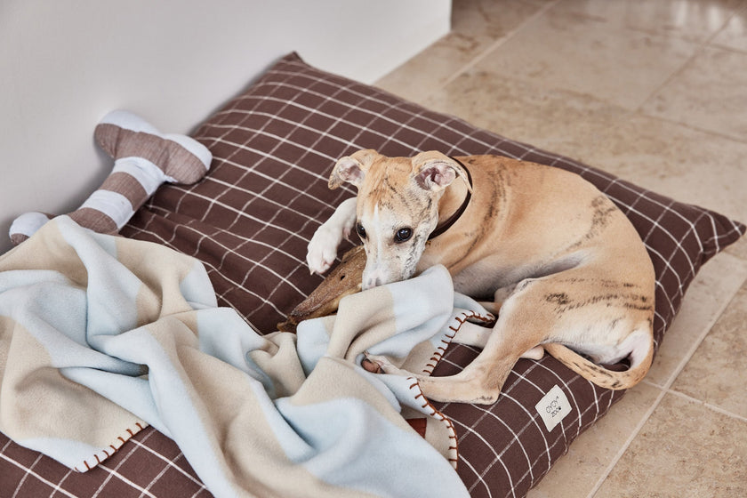 Kaya Dog Blanket - Medium