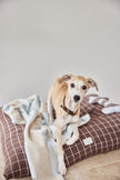 Kaya Dog Blanket - Medium