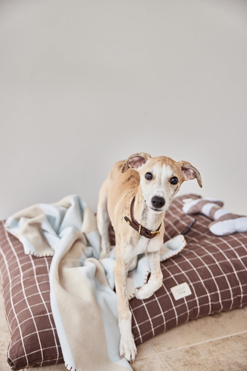Kaya Dog Blanket - Medium