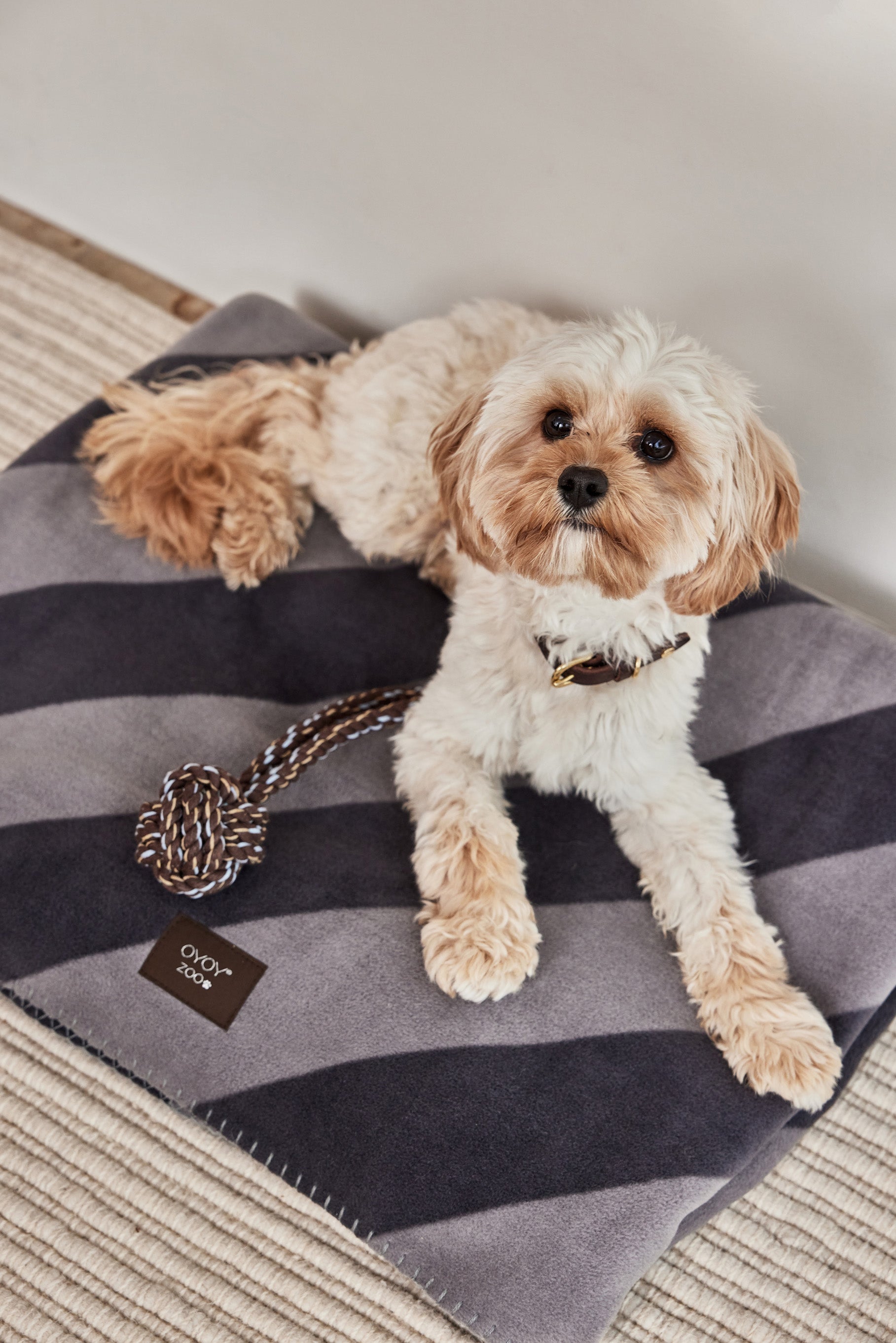 Kaya Dog Blanket - Medium