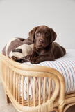Kaya Dog Blanket - Small