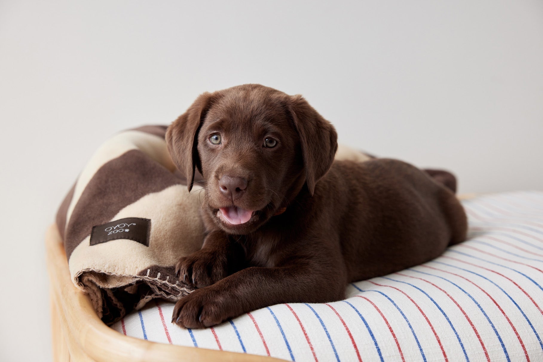 Kaya Dog Blanket - Small