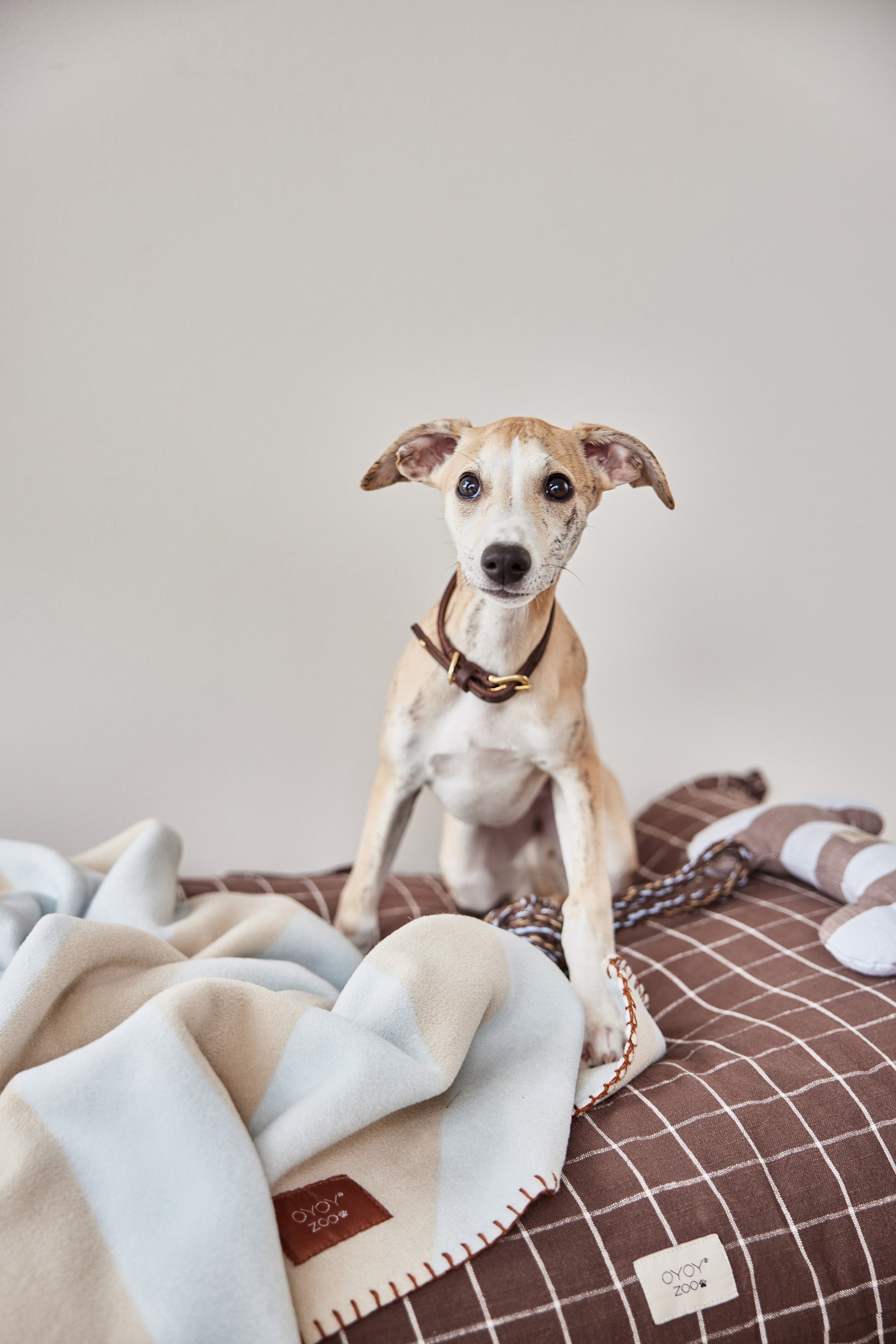 Kaya Dog Blanket - Small