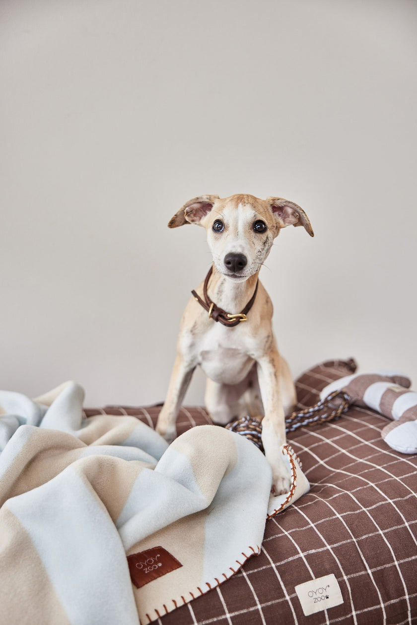 Kaya Dog Blanket - Small