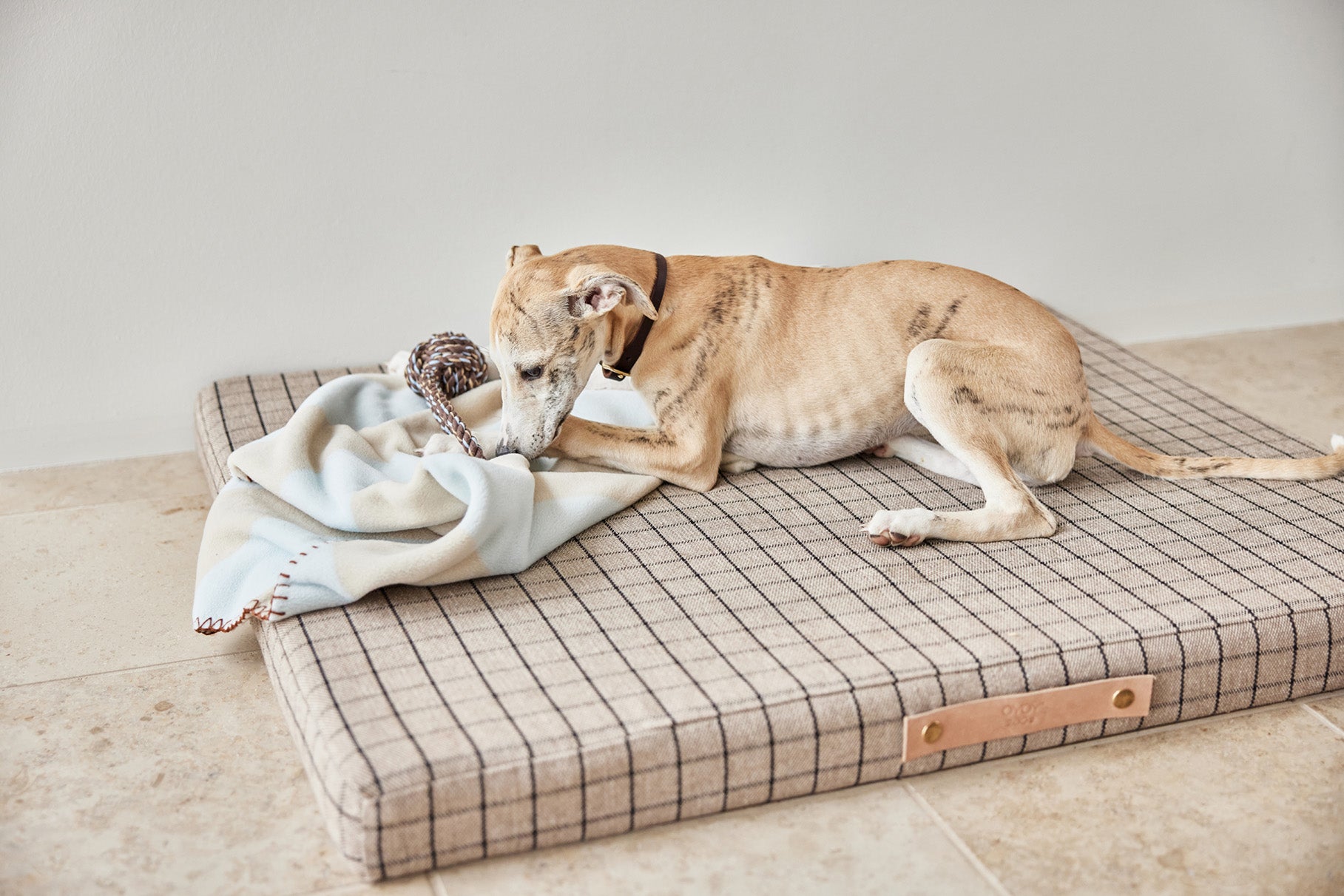 Kaya Dog Blanket - Small