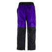 Kids Unisex Gorak Shep Outershell Pants – Purple / Black