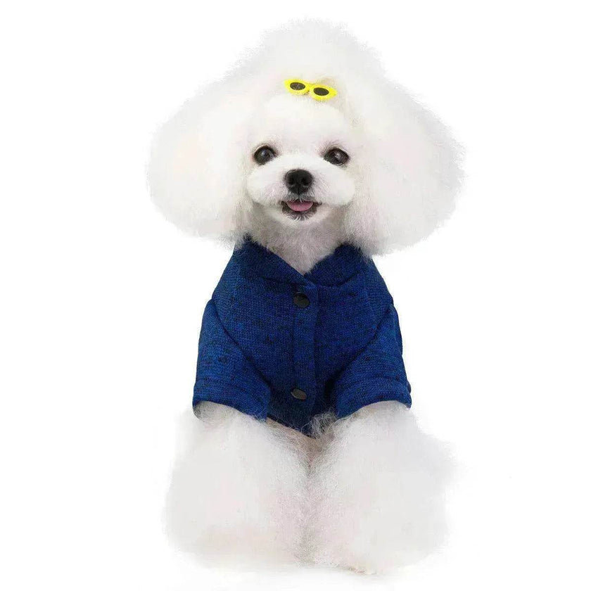 Kitty dog clothes clothing supplies teddy
