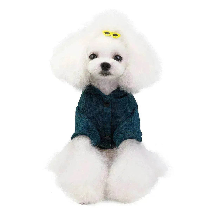 Kitty dog clothes clothing supplies teddy