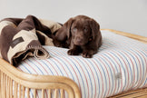Kyoto Dog Cushion - Medium