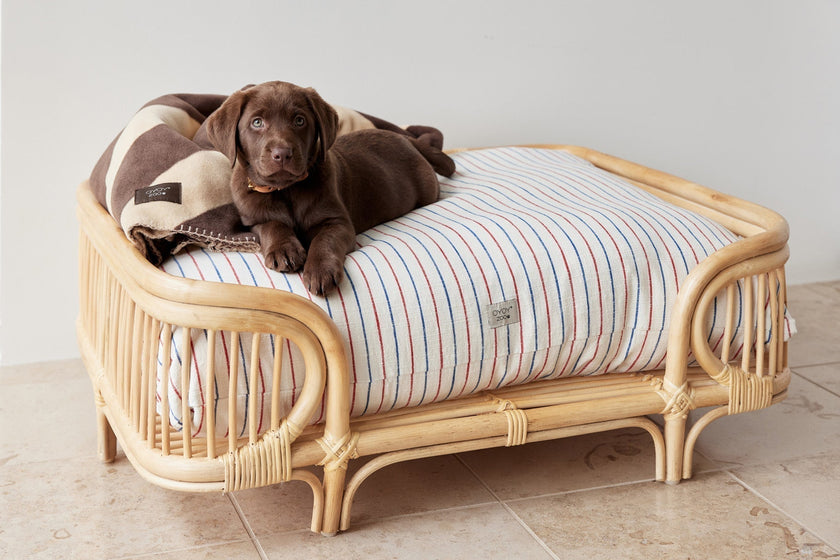 Kyoto Dog Cushion - Small