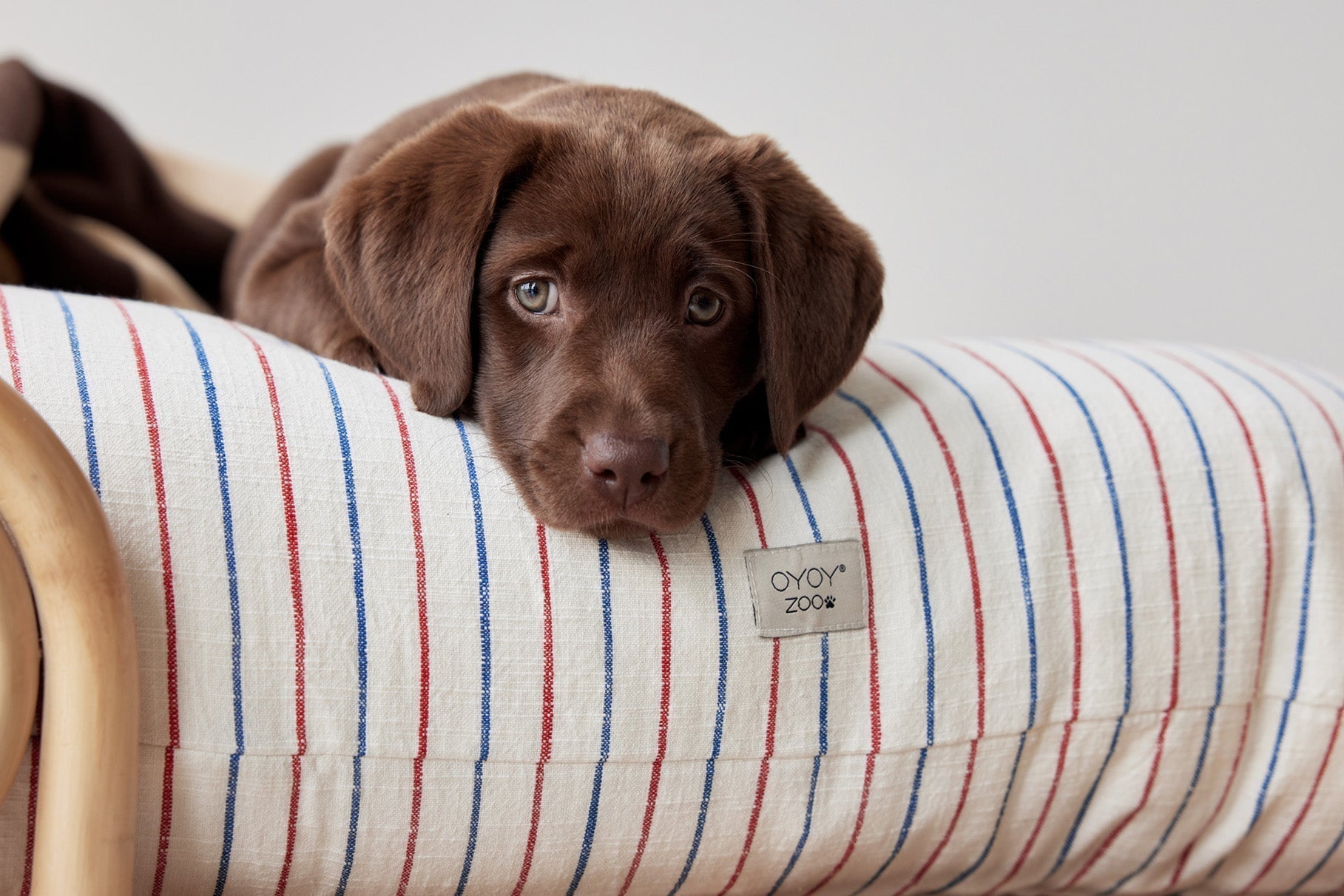 Kyoto Dog Cushion - Small