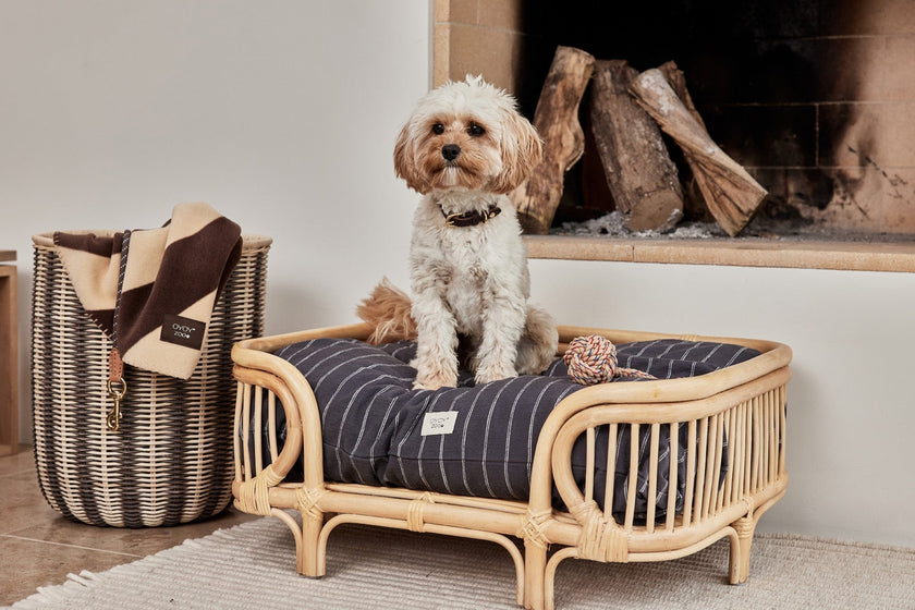 Kyoto Dog Cushion - Small