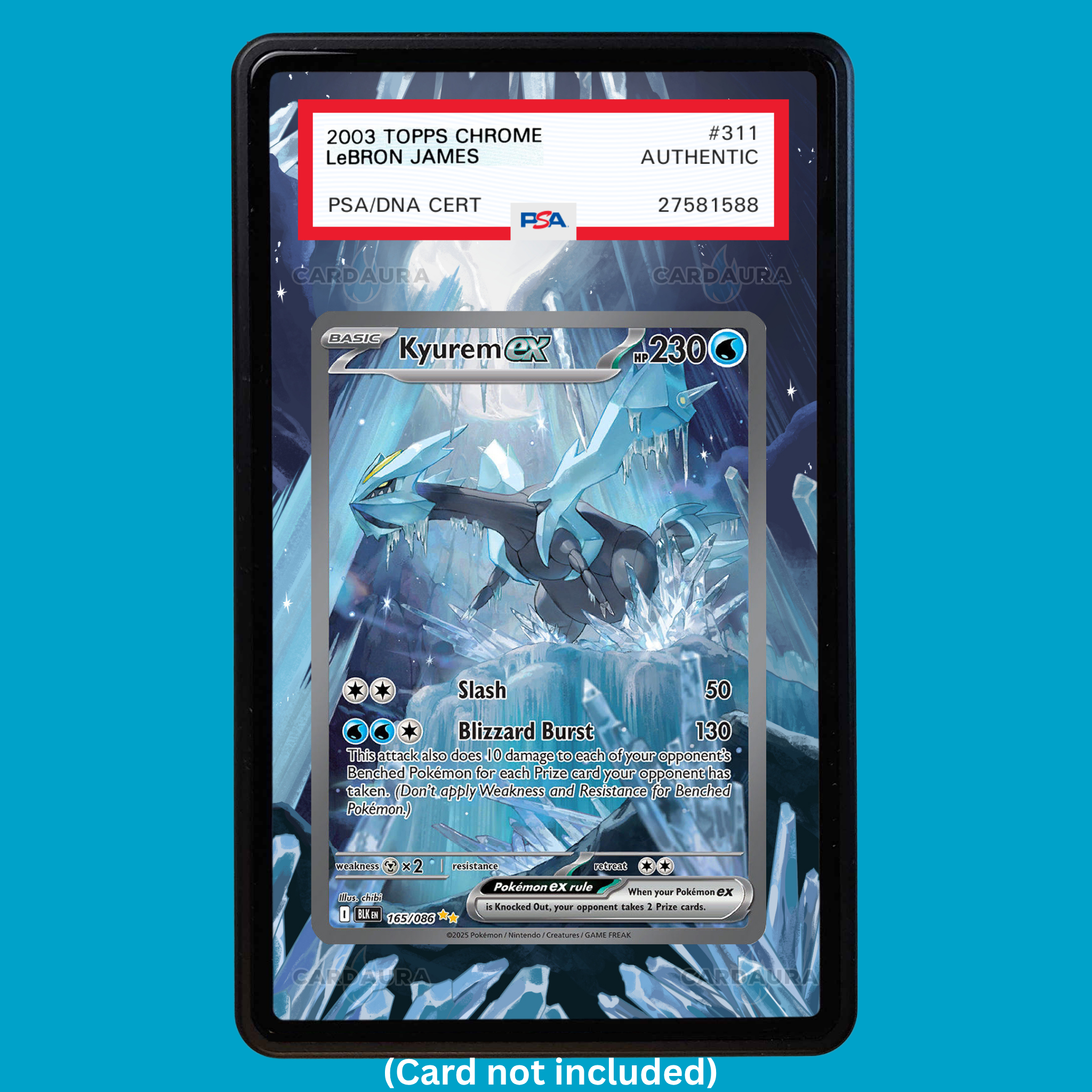 Kyurem 165/086 Black Bolt (Graded) Display Case
