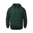 Vault -Adult Pullover Hoodie