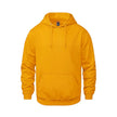 Vault -Adult Pullover Hoodie