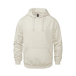 Vault -Adult Pullover Hoodie