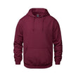 Vault -Adult Pullover Hoodie