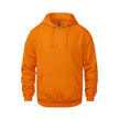 Vault -Adult Pullover Hoodie