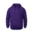 Vault -Adult Pullover Hoodie