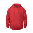 Vault -Adult Pullover Hoodie