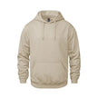 Vault -Adult Pullover Hoodie
