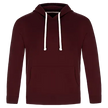 Cedar Point -Adult Pullover Hooded Sweatshirt