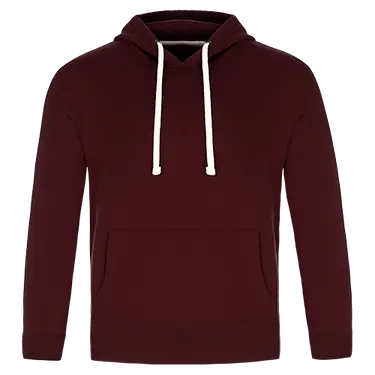 Cedar Point -Adult Pullover Hooded Sweatshirt