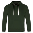 Cedar Point -Adult Pullover Hooded Sweatshirt