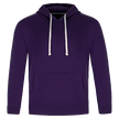 Cedar Point -Adult Pullover Hooded Sweatshirt
