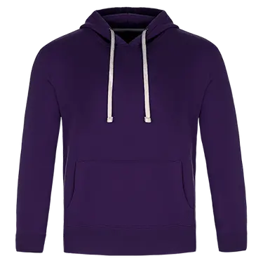 Cedar Point -Adult Pullover Hooded Sweatshirt