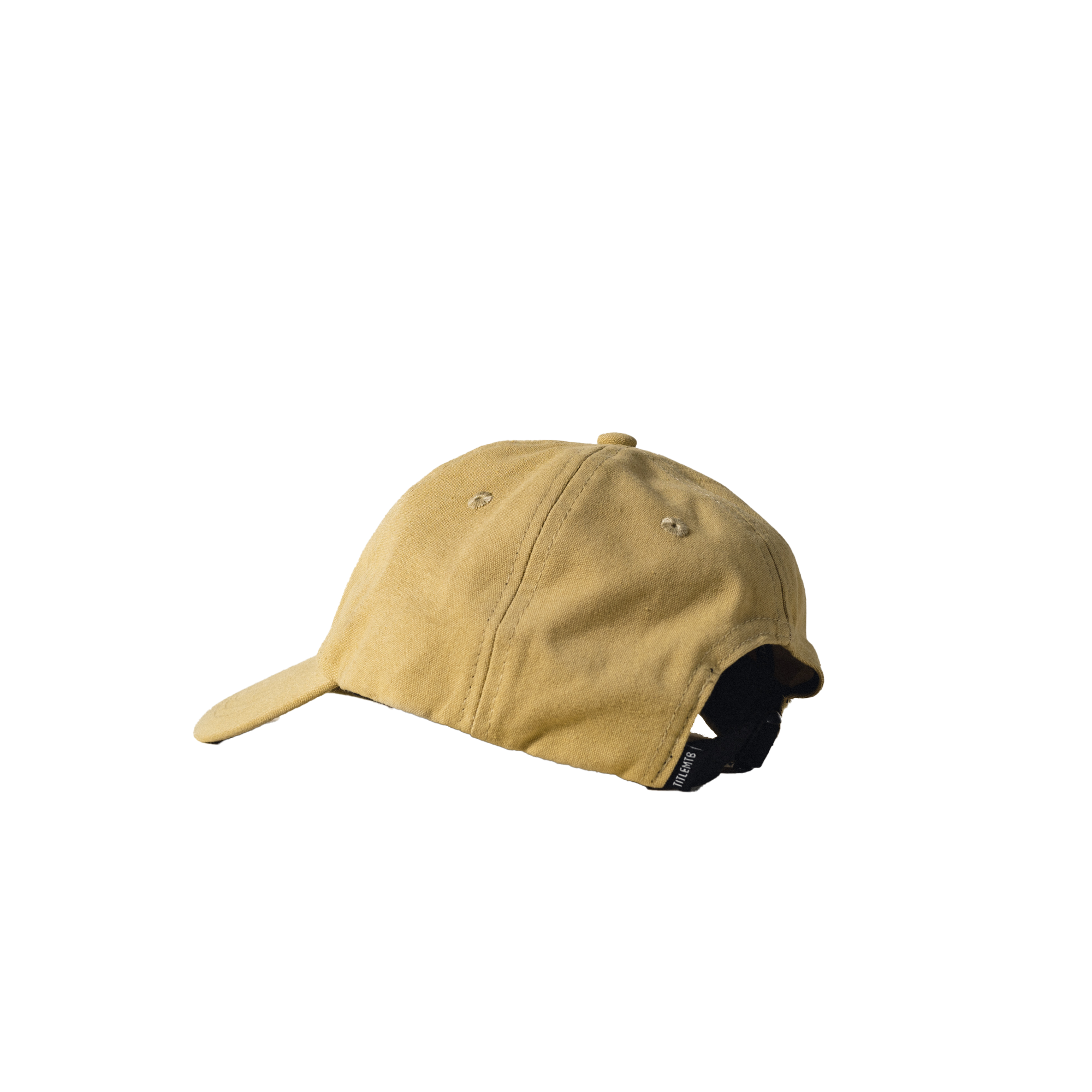 Six Panel Dad Hat