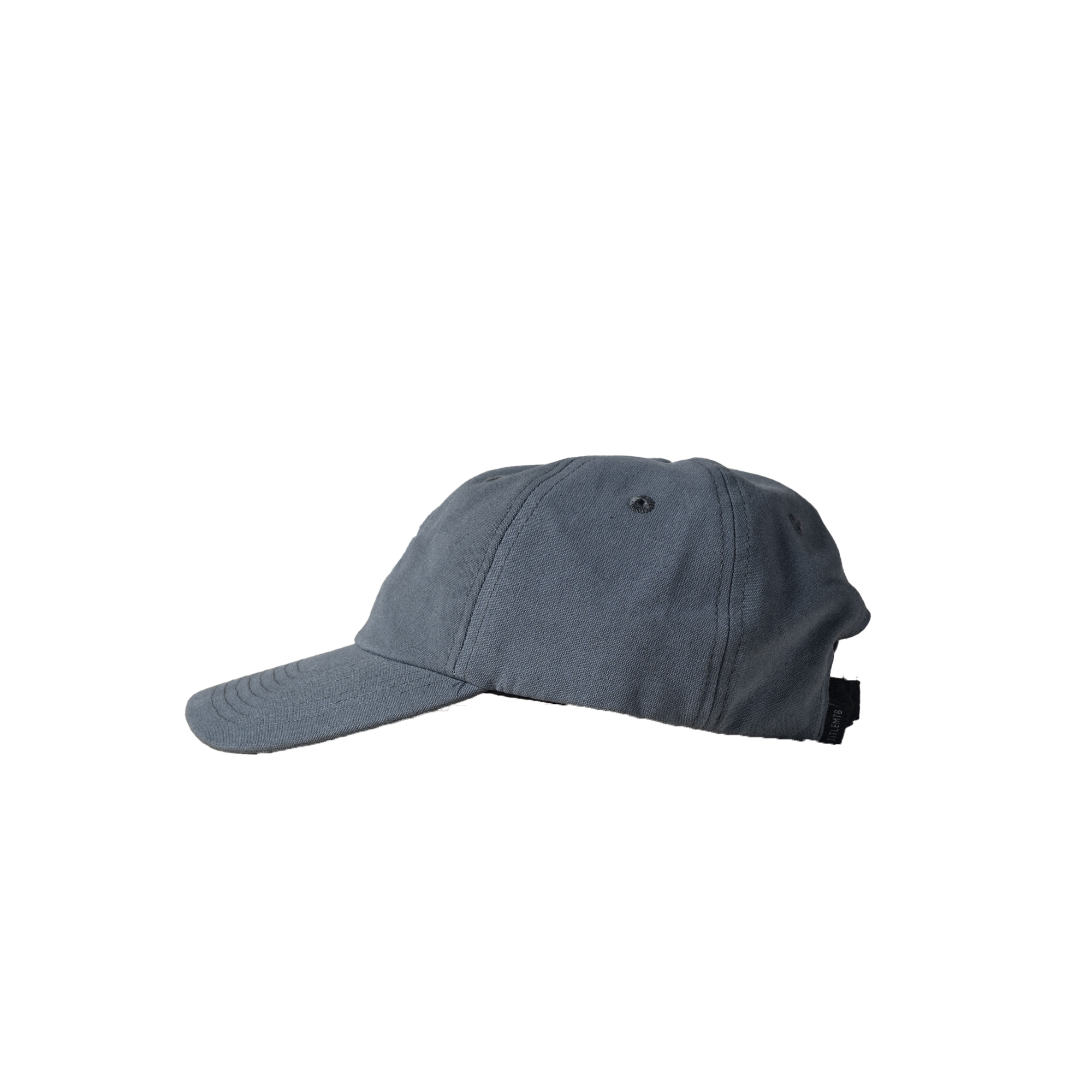 Six Panel Dad Hat