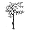 Lavinia Stamp - Cherry Blossom Tree