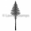 Lavinia Stamp - Fairy Fir Tree 2