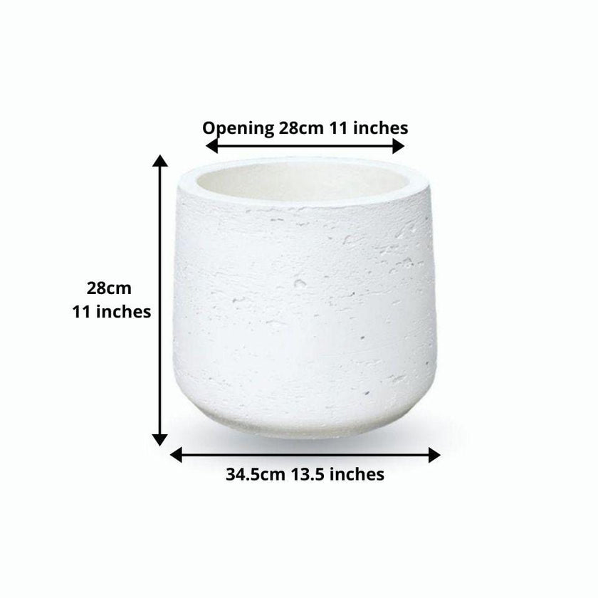 Lazaro White Cement Planter 13''