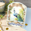The Little Book of Peacocks